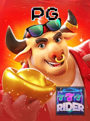 RIDER 777 cadastro — tela de formulário no app oficial